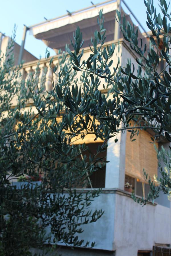 זאדאר Apartments & Rooms Tea מראה חיצוני תמונה